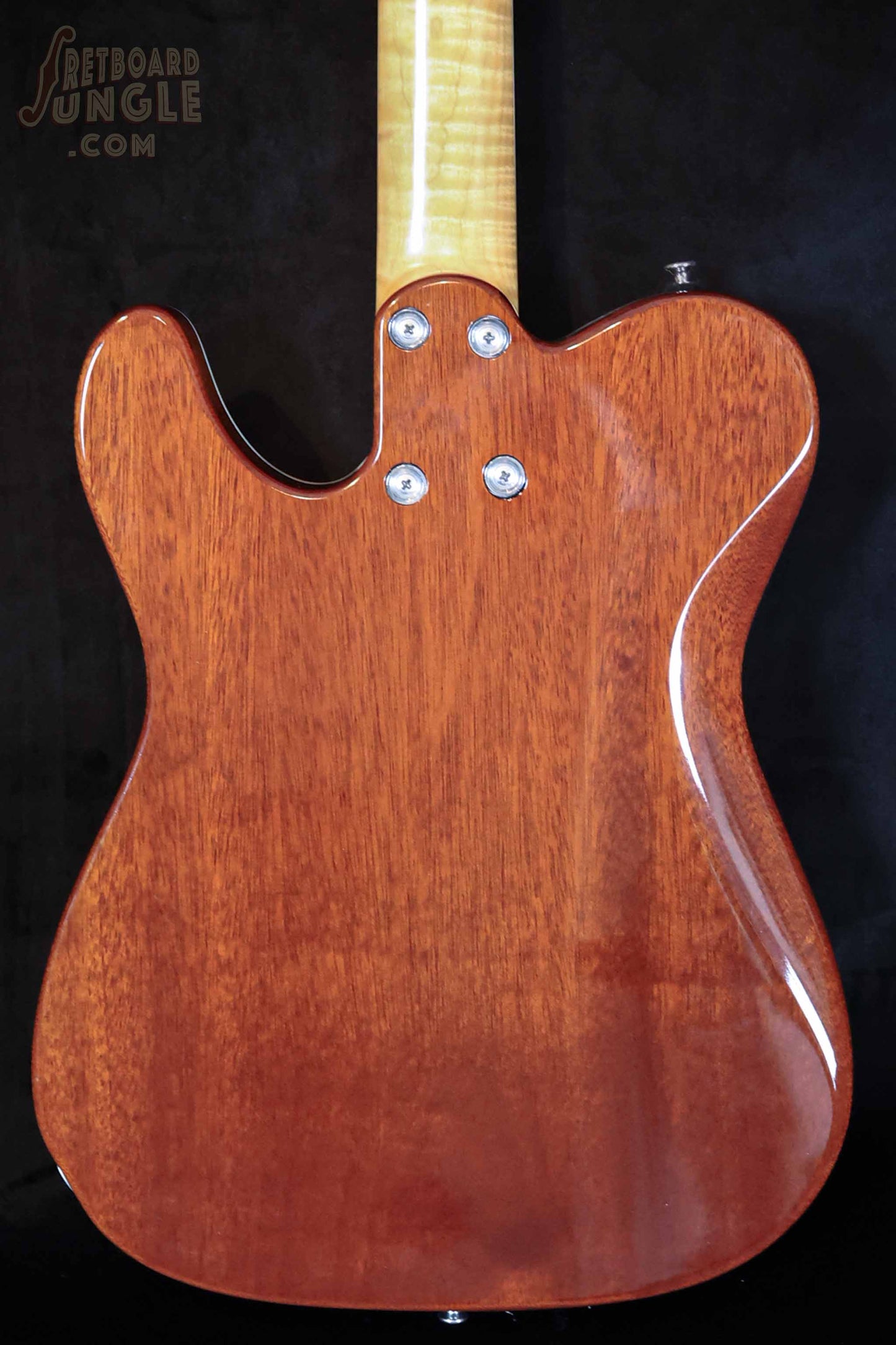 Andy Taylor Custom Shoreline Caster - Shoreline Gold - 2017 - AUS