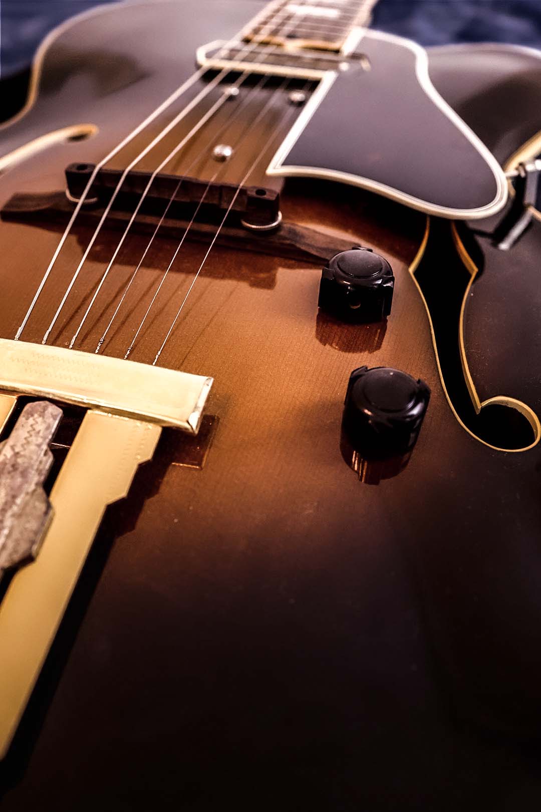 Hollow Body & Semi Acoustic Guitars