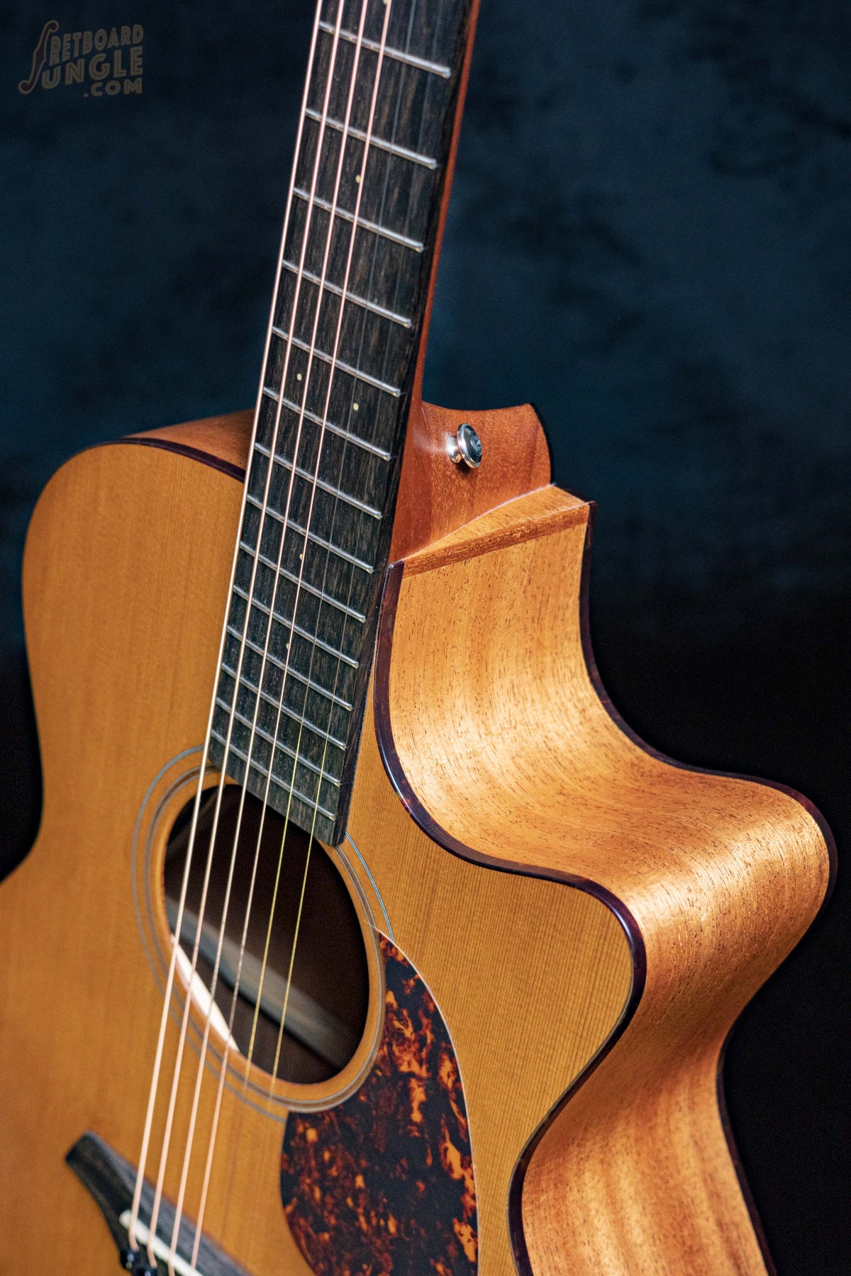 Furch Blue Gc-CM Master’s Choice | Natural | CZE | 2022