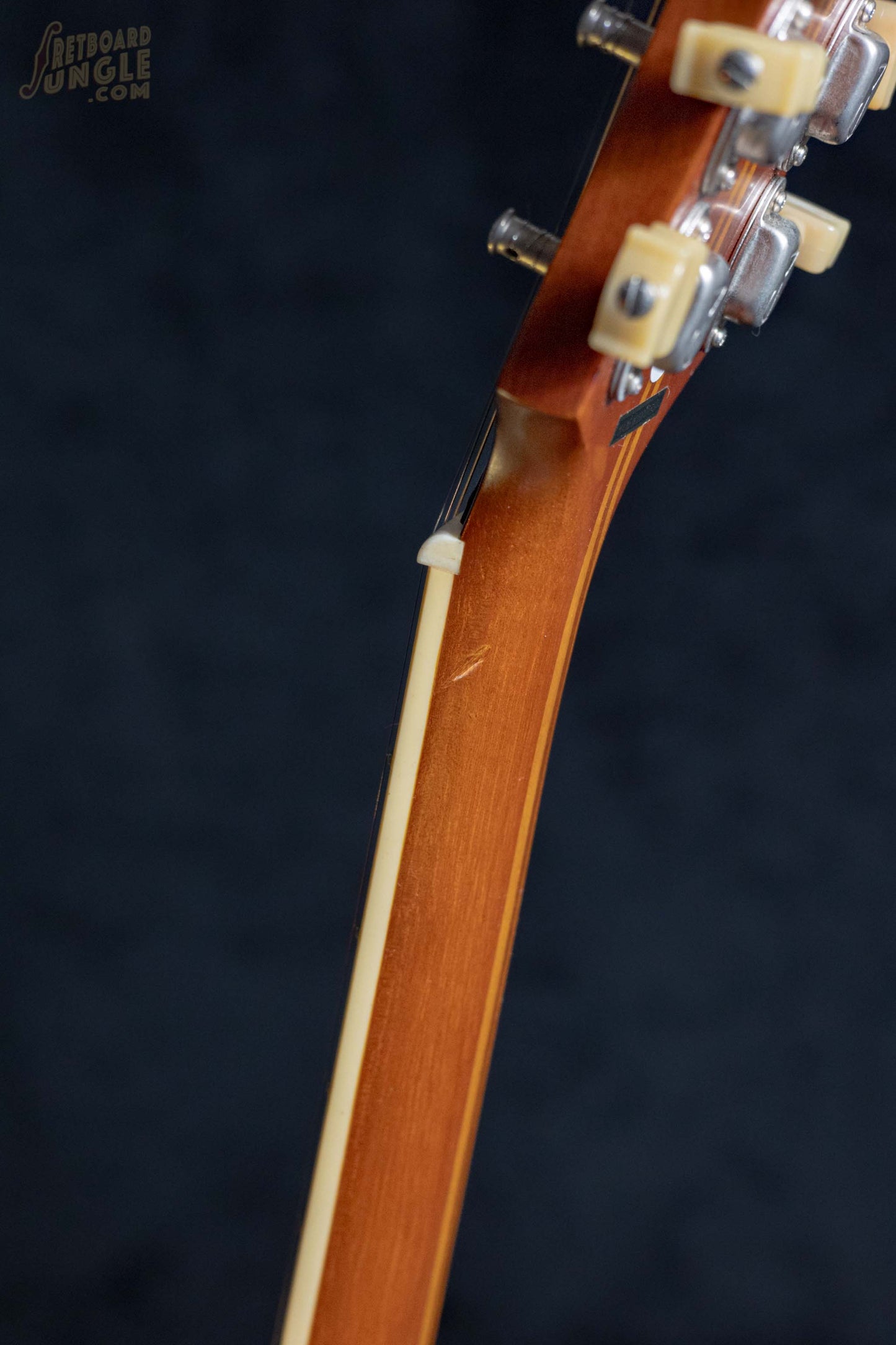 Epiphone Masterbuilt Century De Luxe | Vintage Natural | 2016