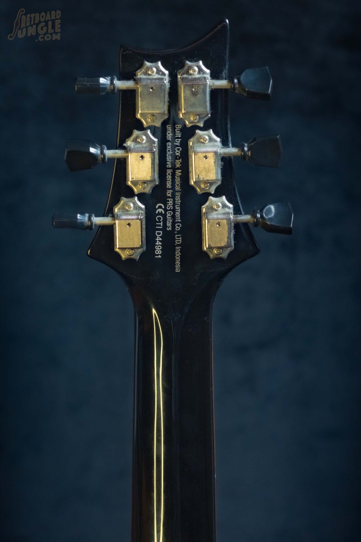 PRS SE Paul's Guitar | Turquoise | 2021