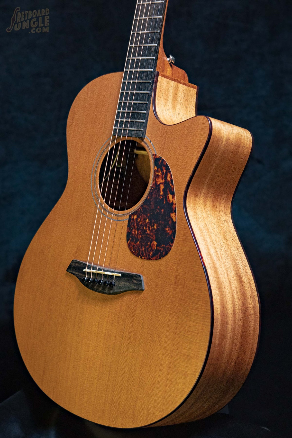 Furch Blue Gc-CM Master’s Choice | Natural | CZE | 2022