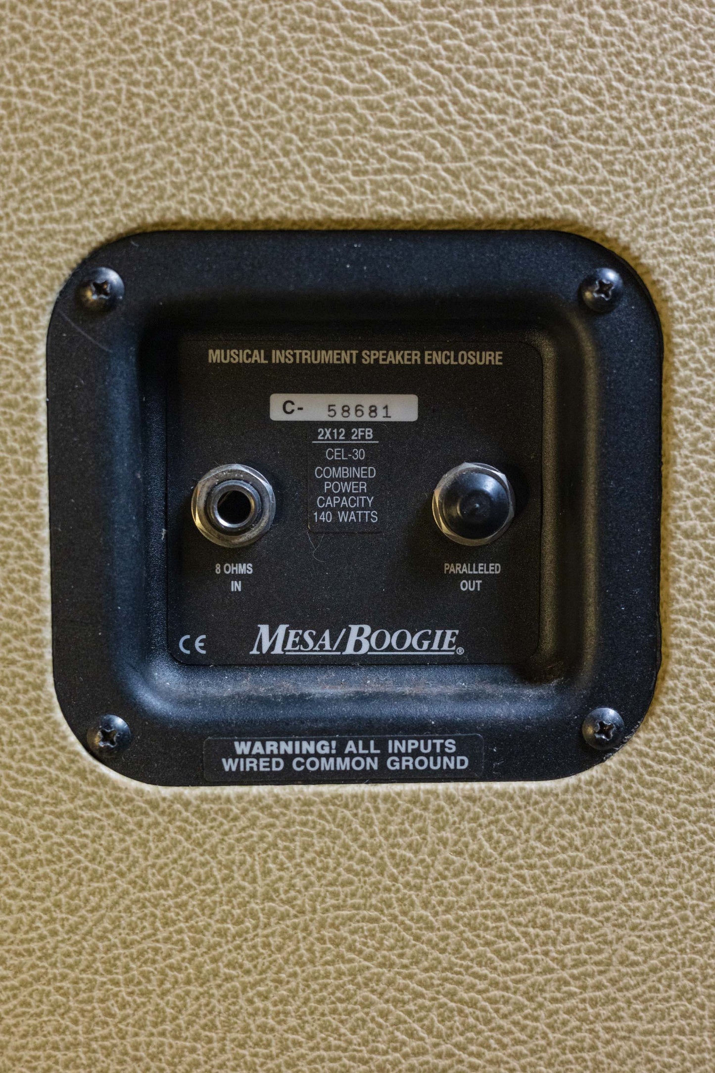 Mesa Boogie Electra Dyne Head and 2 x 12 2FB Cabinet | Tan Bronco Tolex | 2009