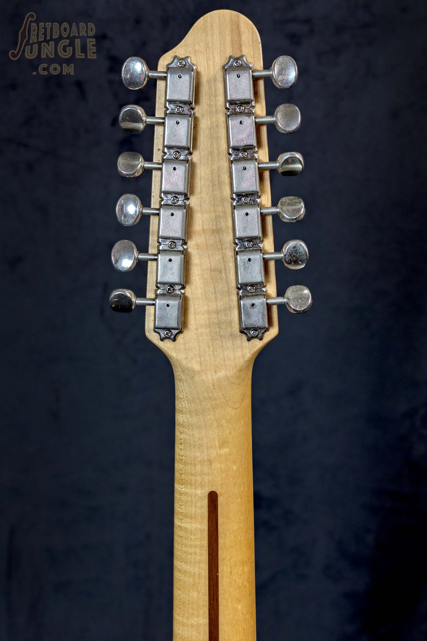 Squier Venus Vista XII 12 String Guitar -  Gloss Black - 1997/98