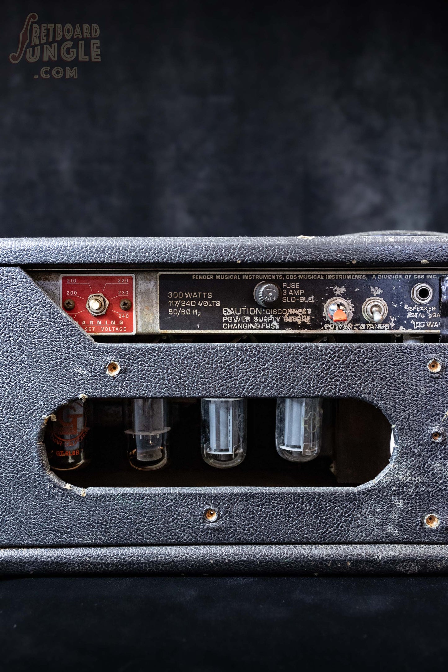 1975 Fender Bassman and EV Cab